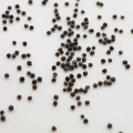 Portulak Microgreens Samen 2.jpg