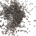 Portulak Microgreens Samen 3.jpg