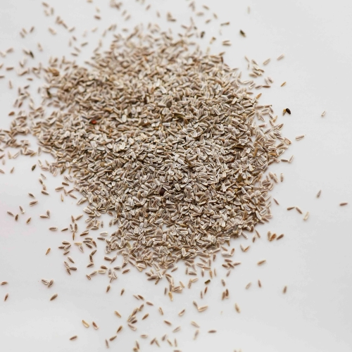 Weie Schafgarbe Microgreens-Saatgut