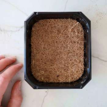 Kokosmatte - Fasern zum Anbau von Microgreens