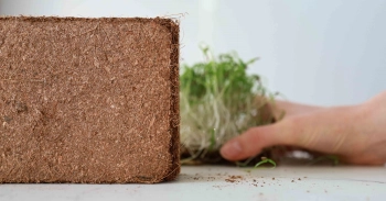 Kokosfaserziegel zum Anbau von Microgreens