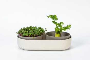 Anzuchttopf + Nachzuchttopf