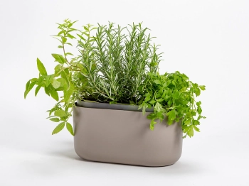 double self watering pot.jpg