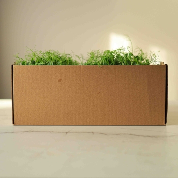 Micro-Blätter-Transport-box.jpg
