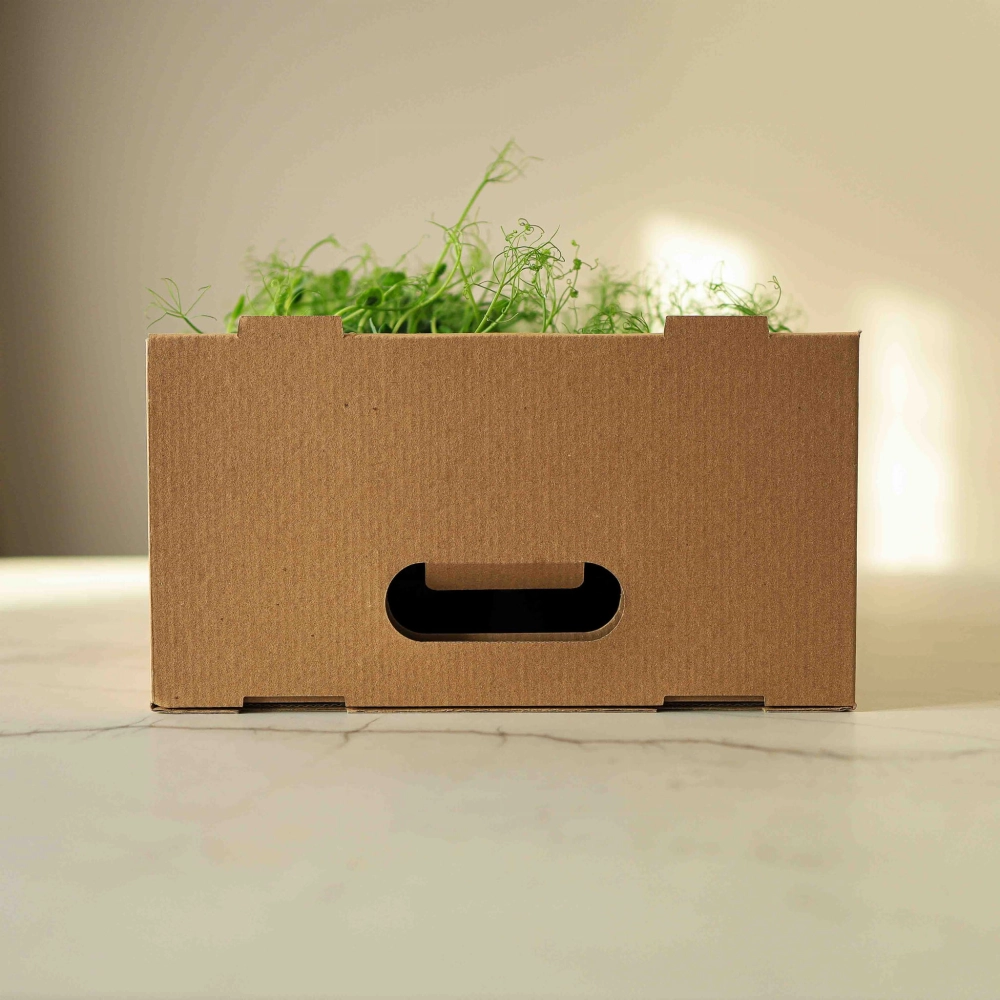 Microgreens-Transportbox