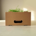 Microgreens-Transportbox
