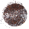 Komatsuna Red Microgreens-Samen