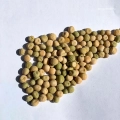 pea-white-seeds