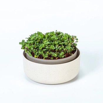 growing-pot