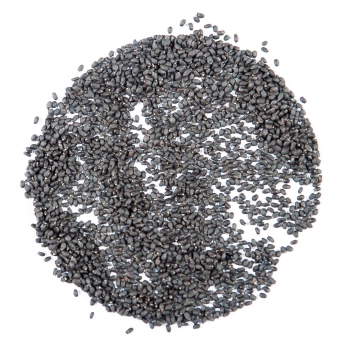 Basilikum Red Opal Microgreens Samen