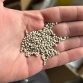 Grünblättrige Shiso