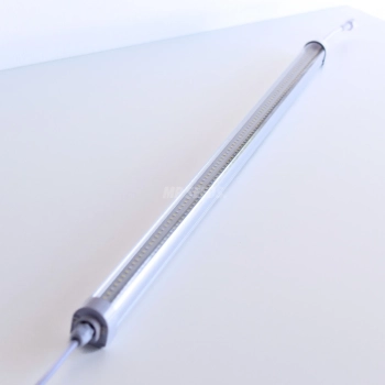 mp-seeds-led-lampe.webp