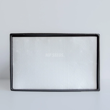 Zellulosematte 33 × 53 cm in der flachen „10x20“-Anzuchtschale