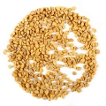 Bockshornklee Microgreens Samen