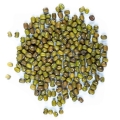 Mungobohnensamen für Microgreens und Sprossen