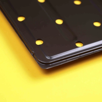 "10x20": Anzuchtschale, flache Version mit Löchern