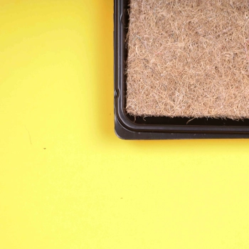 "10x20": Anzuchtschale, flache Version mit Kokosmatte