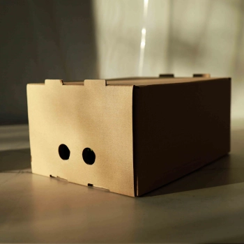 Microgreens Box zum Transport