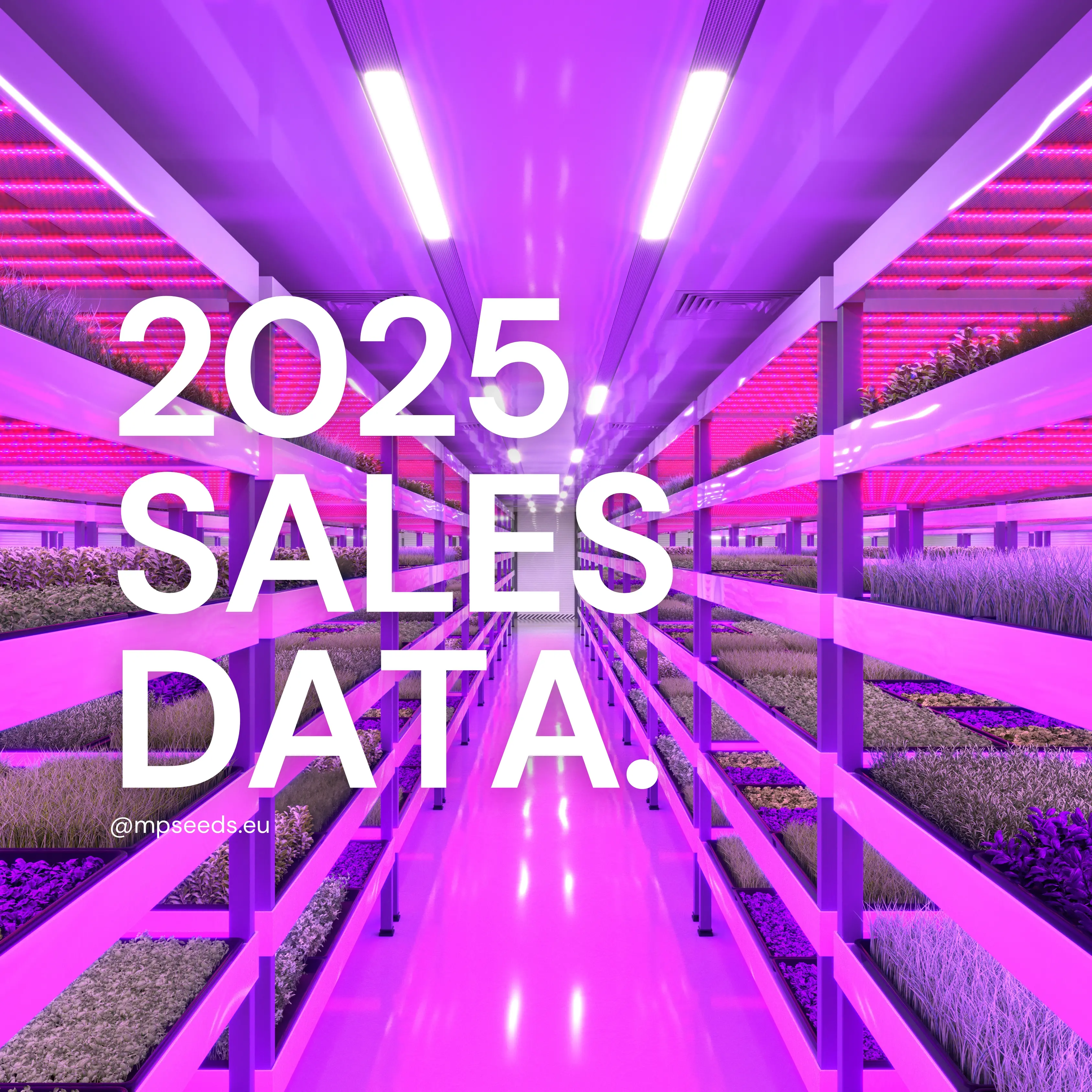 2025 