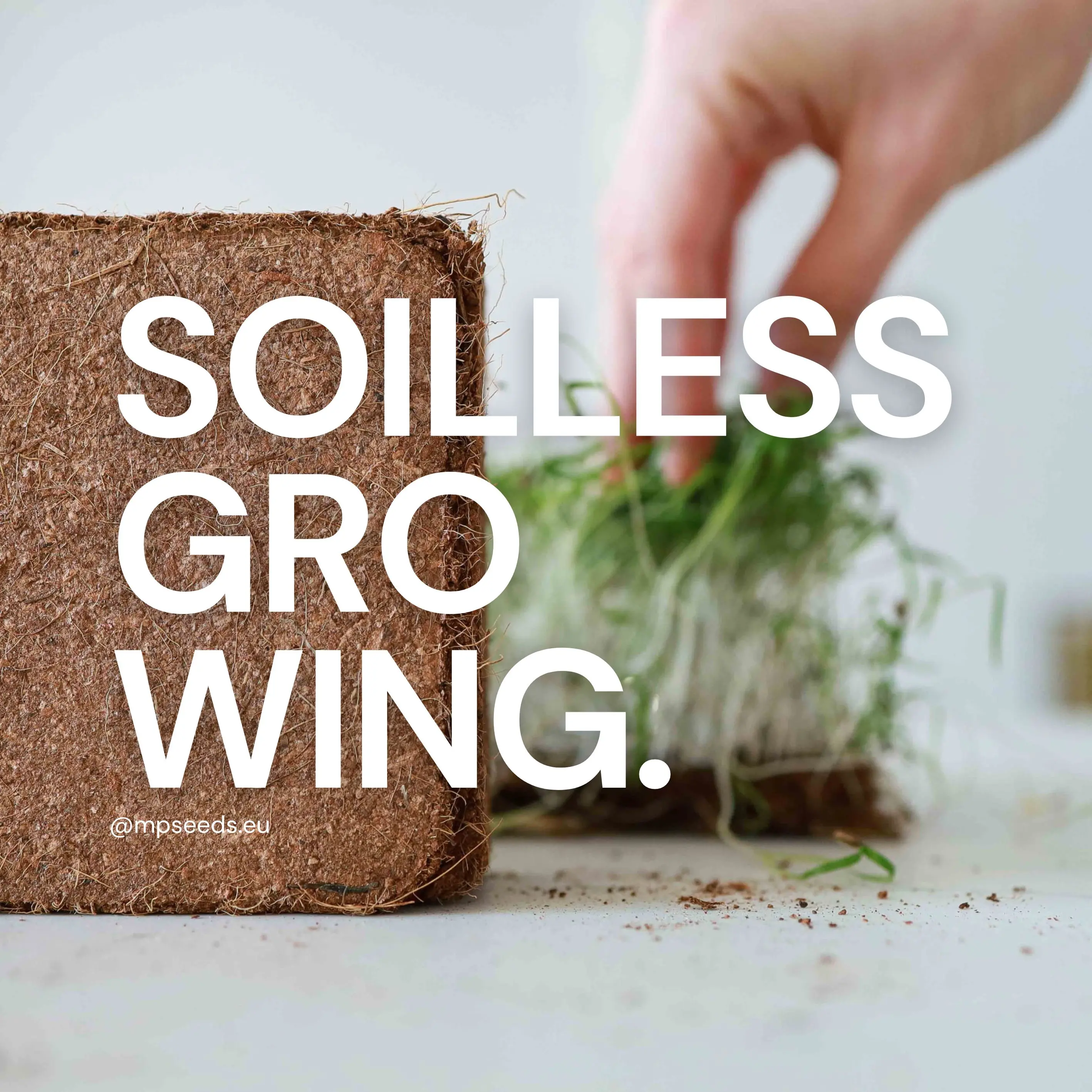 Der ultimative Leitfaden zu Anzuchtsubstraten für Microgreens und kontrollierte Anbausysteme