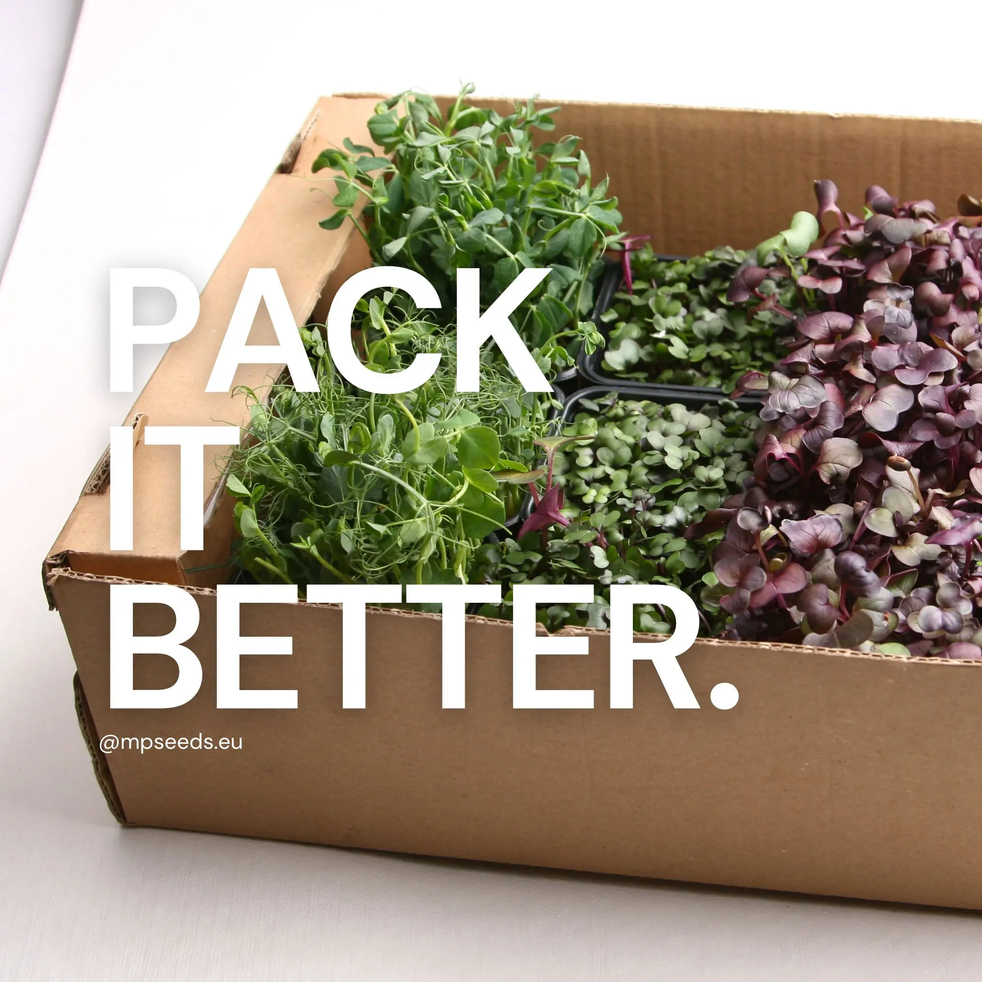Verpackung-von-microgreens