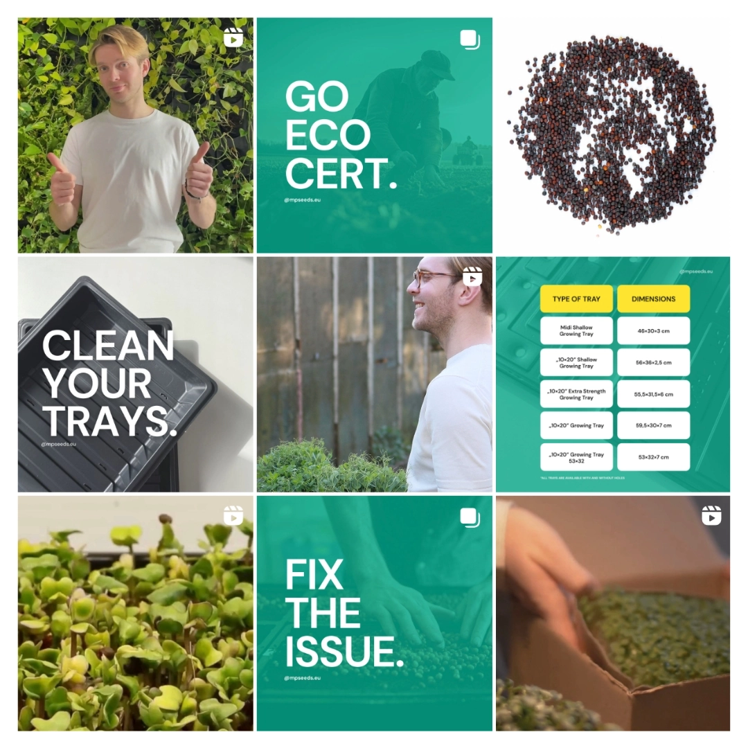 MP Seeds Instagram Feed