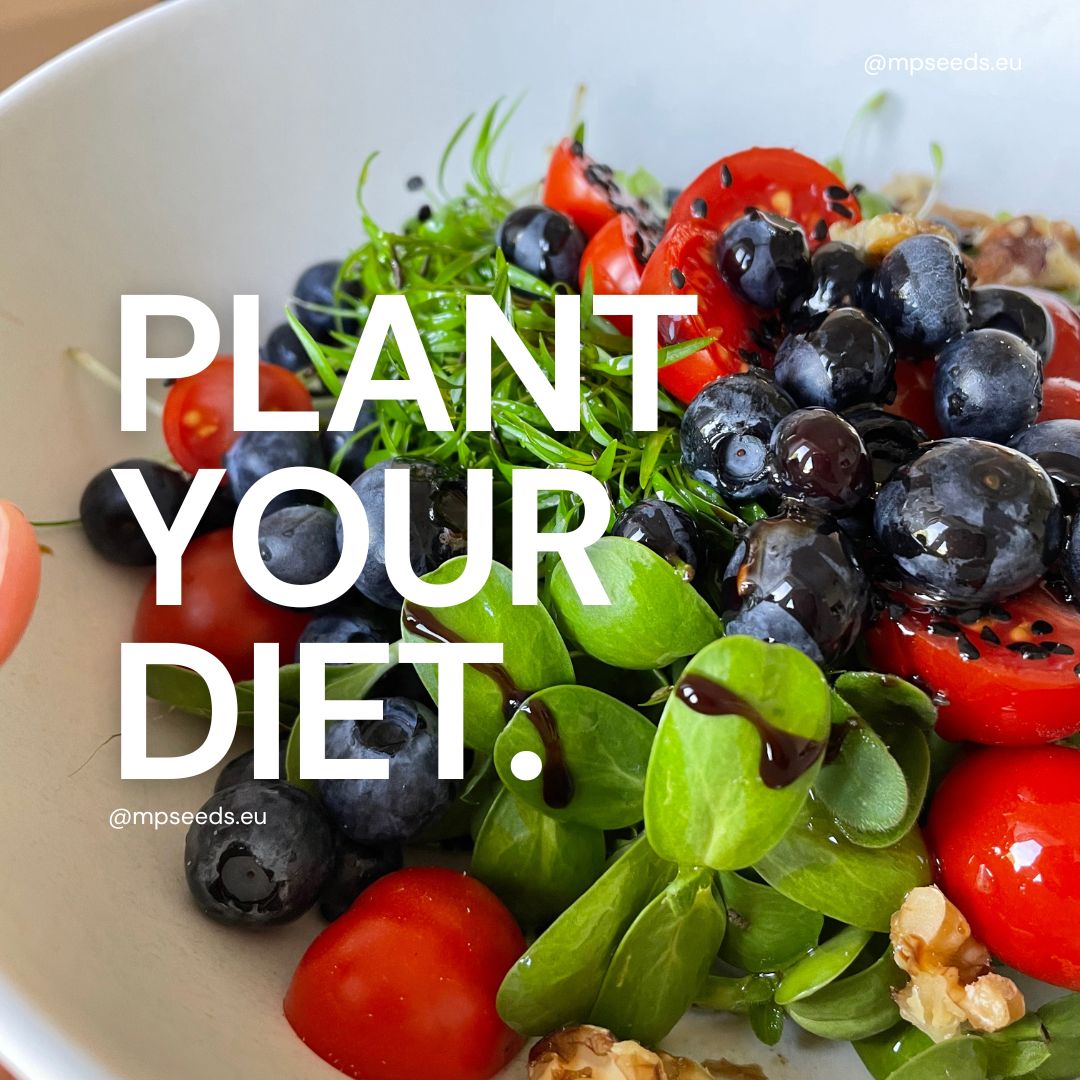 plant-based-diet-cover