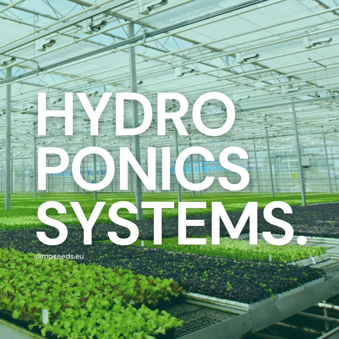 hydroponics_and_aquaponics_in_microgreens.jpg