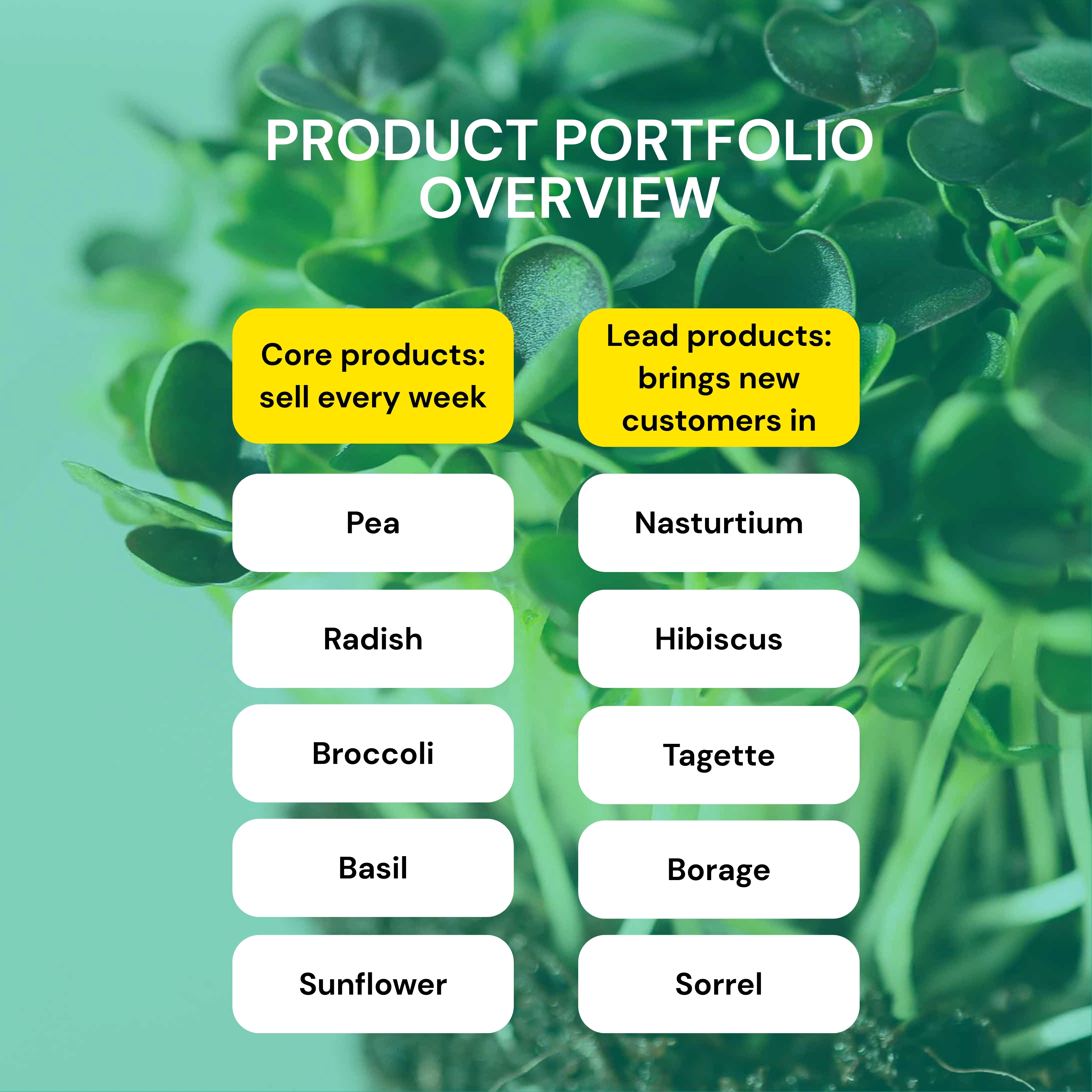 kernprodukte-und-leitprodukte