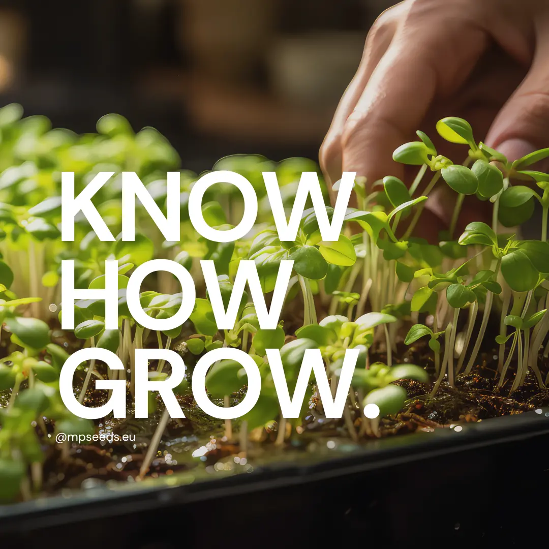 know-how-to-grow.webp