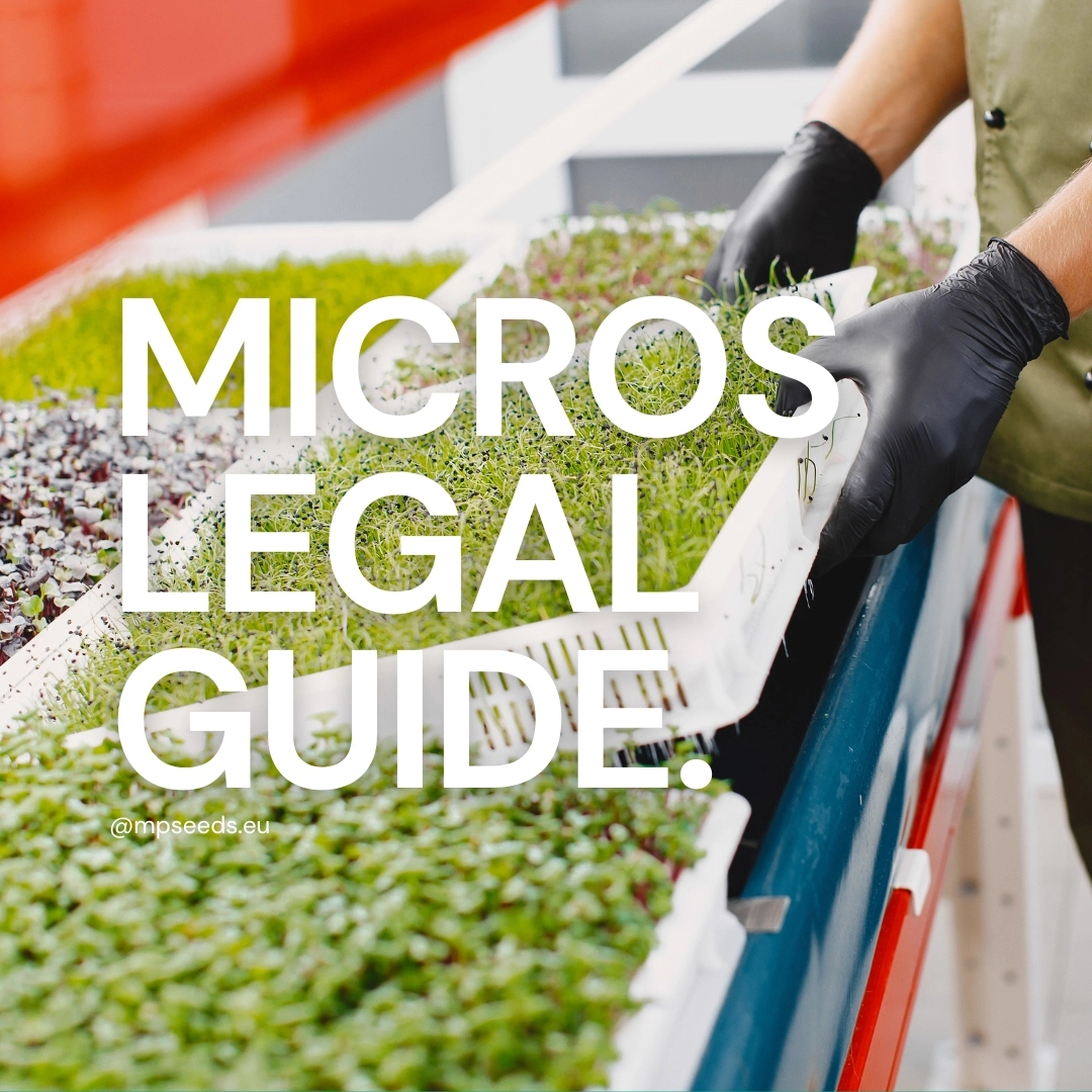 legal-requirements-micros-bussiness .png