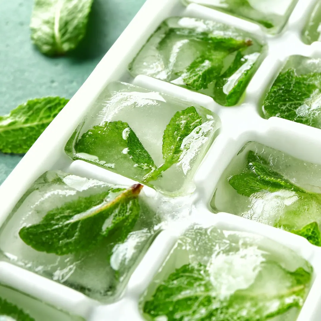 Eiswürfel mit Mikrokräuter