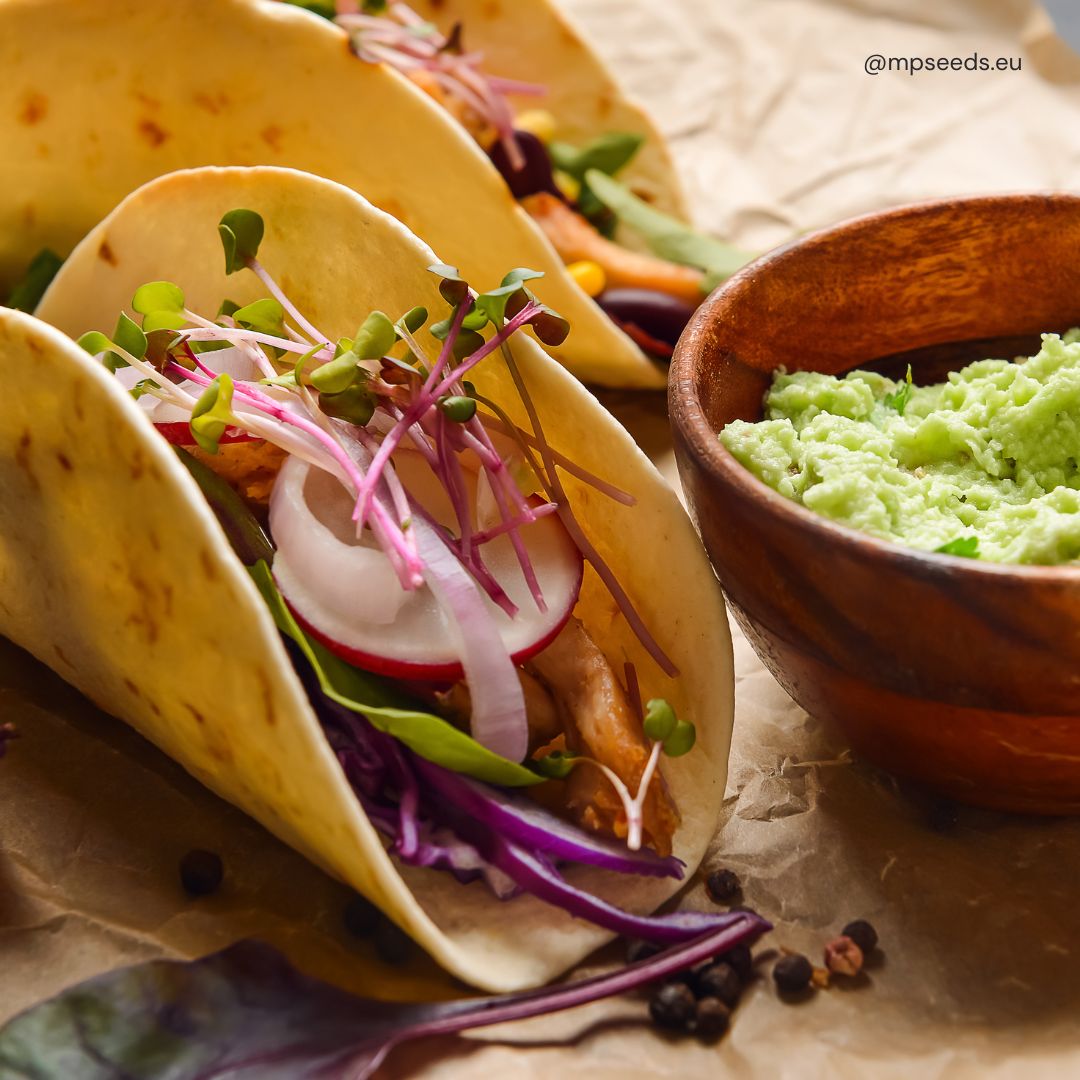 Tacos mit microgreens