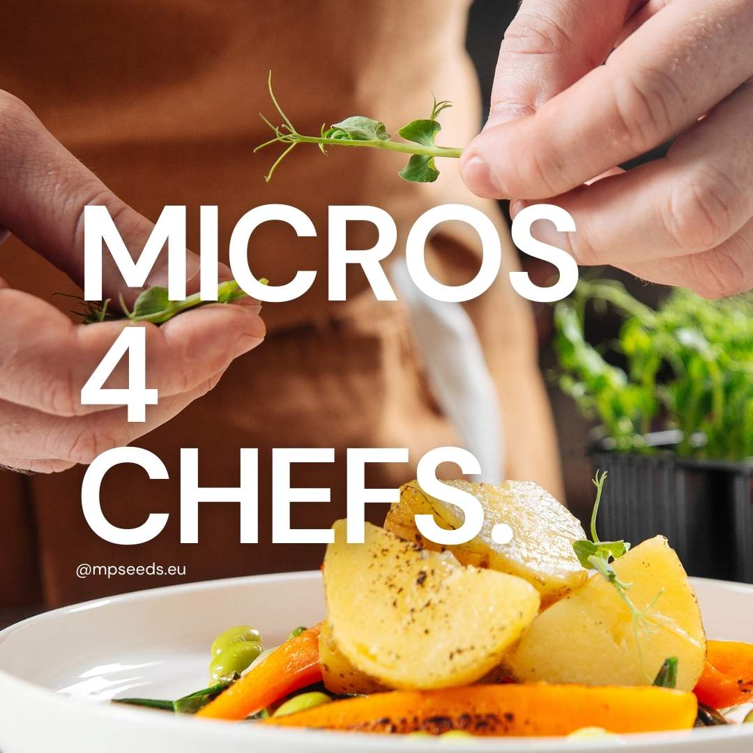 microgreens_for_chefs.jpeg