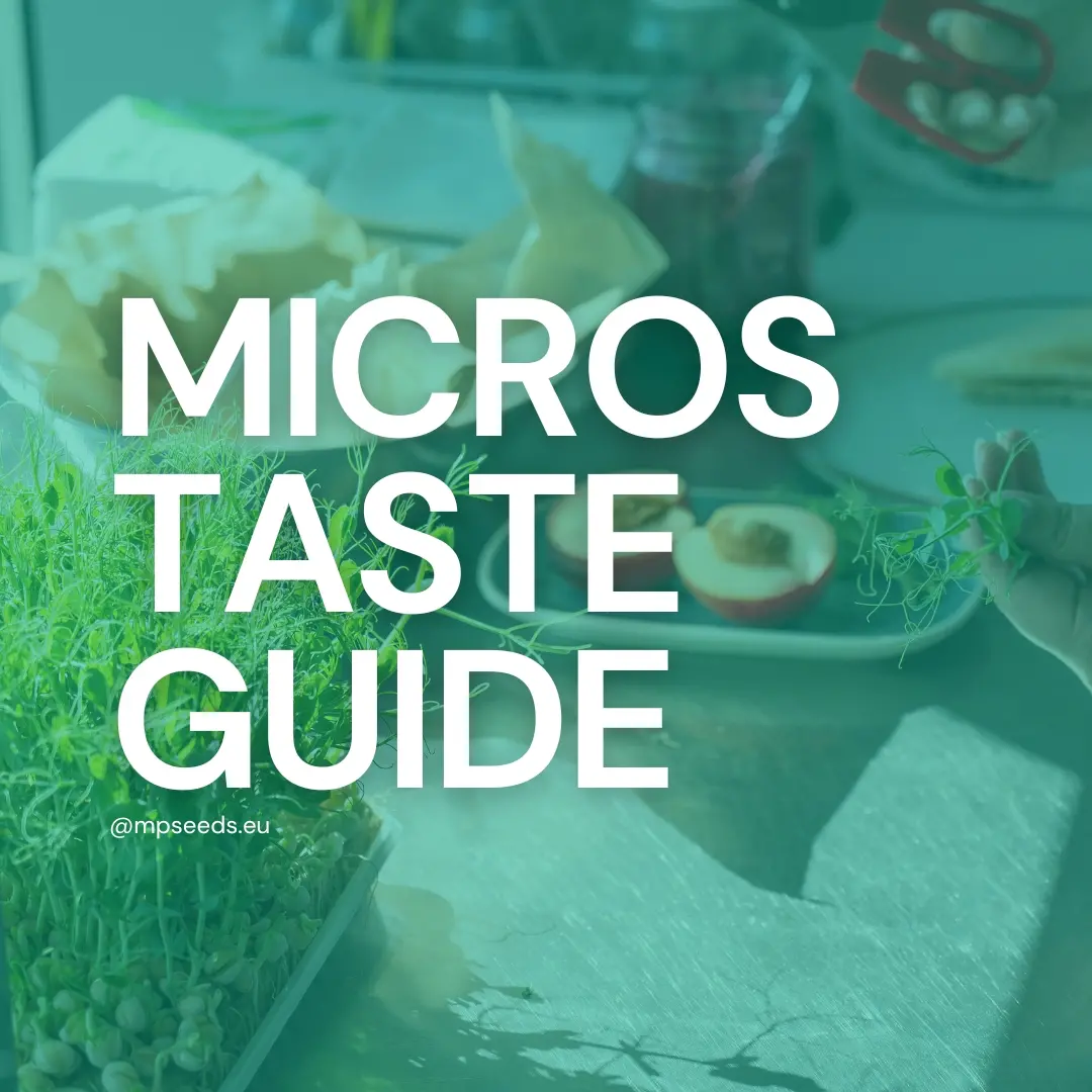 Wie schmecken Microgreens?