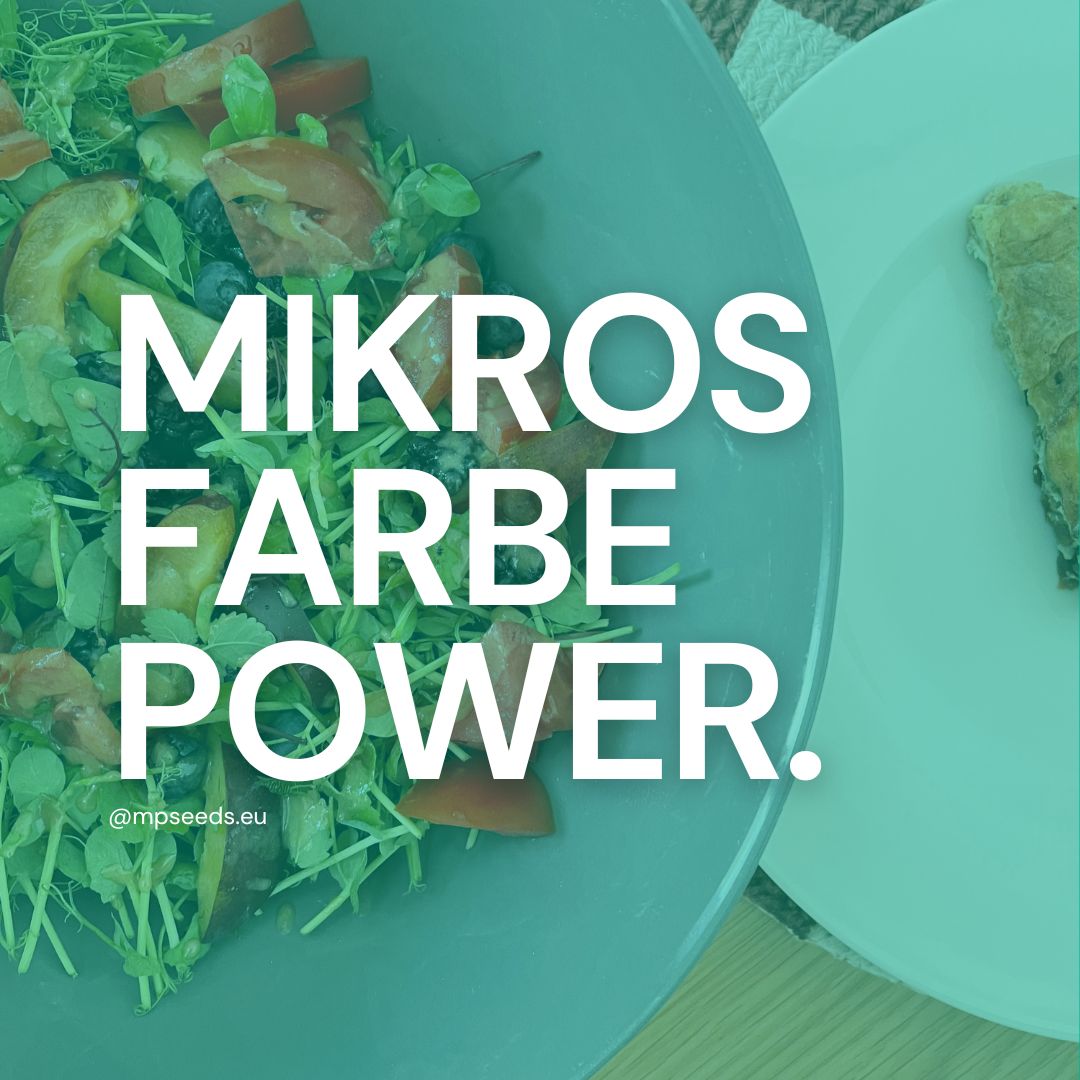 Farbenpower der Mikrogrün