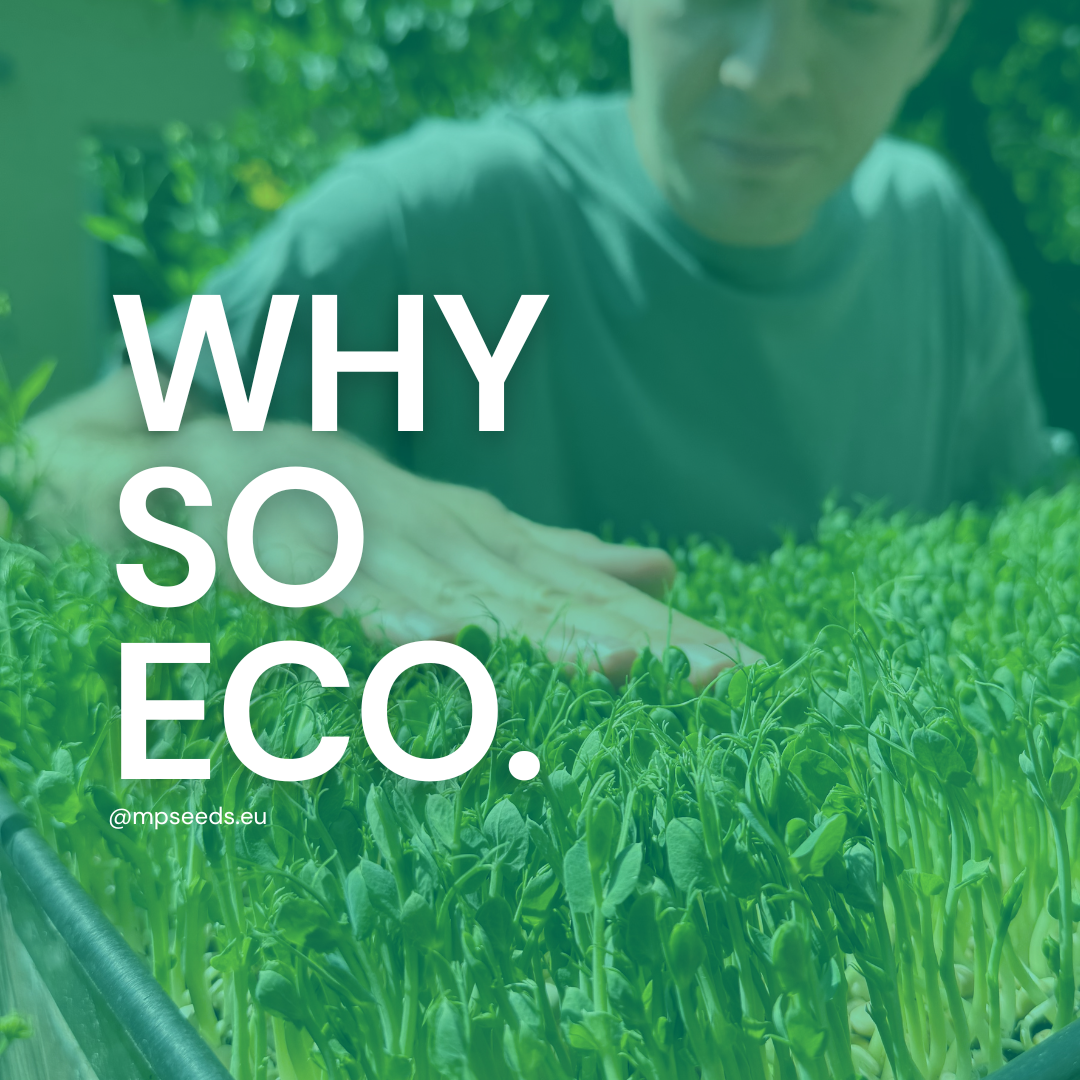 Warum sind Microgreens gut für die Umwelt?