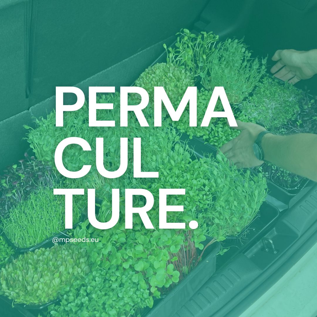 Microgreens und Permakultur, Ethik: Sorge für die Erde, die Menschen und gerechtes Teilen