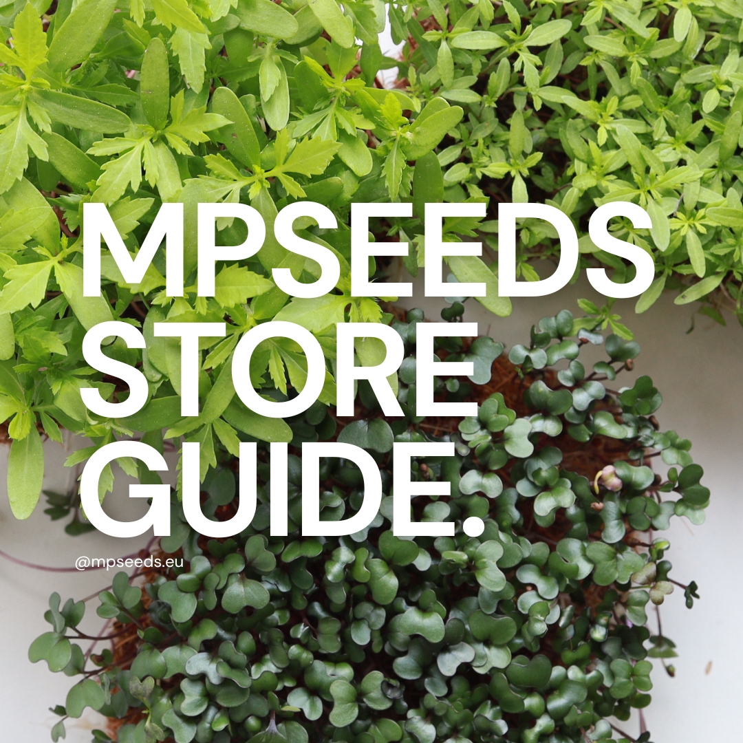 Entdecken Sie den MP SEEDS Online-Shop. So bestellen Sie ganz einfach Microgreens-Samen.