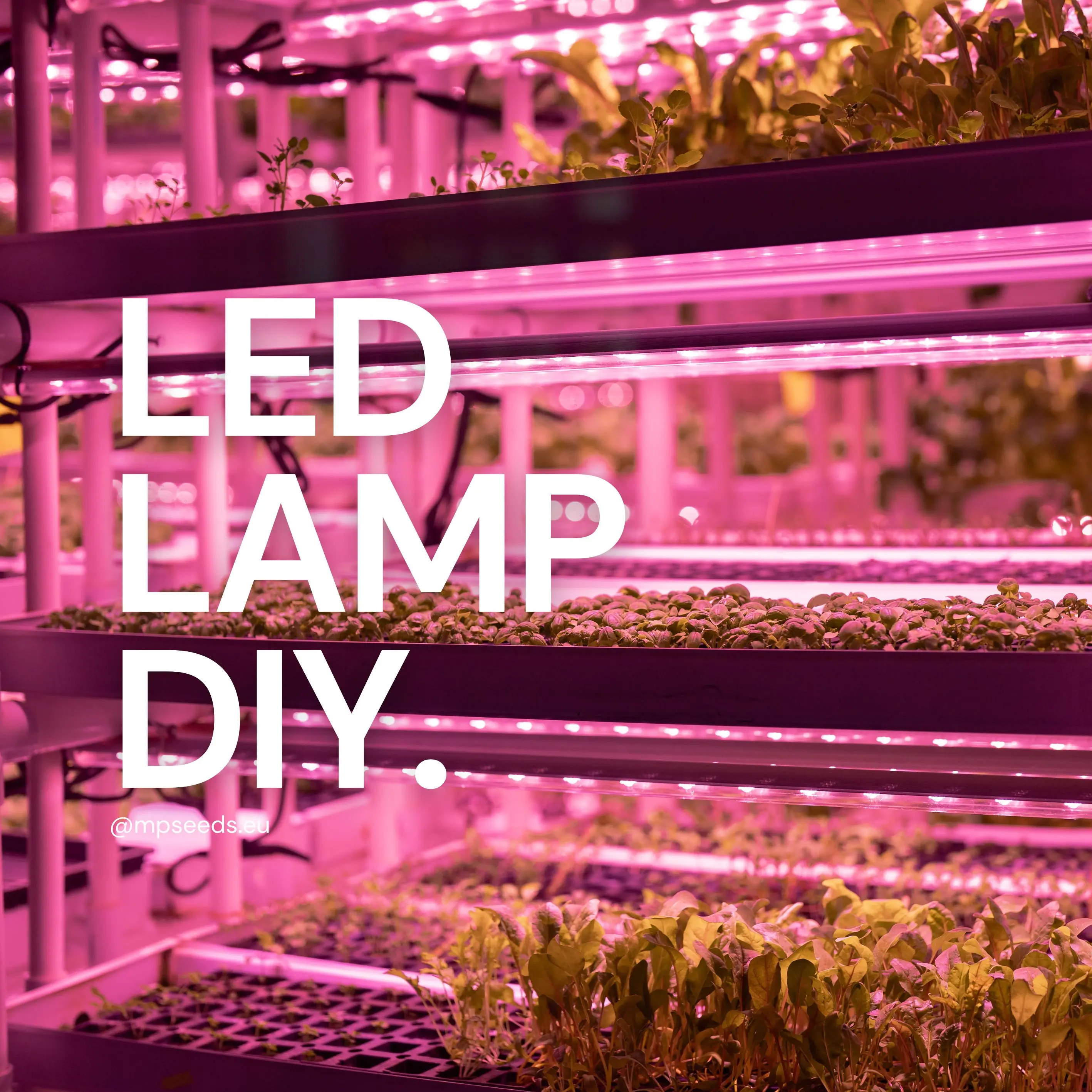 DIY-LED-Lampe für den Anbau von Microgreens