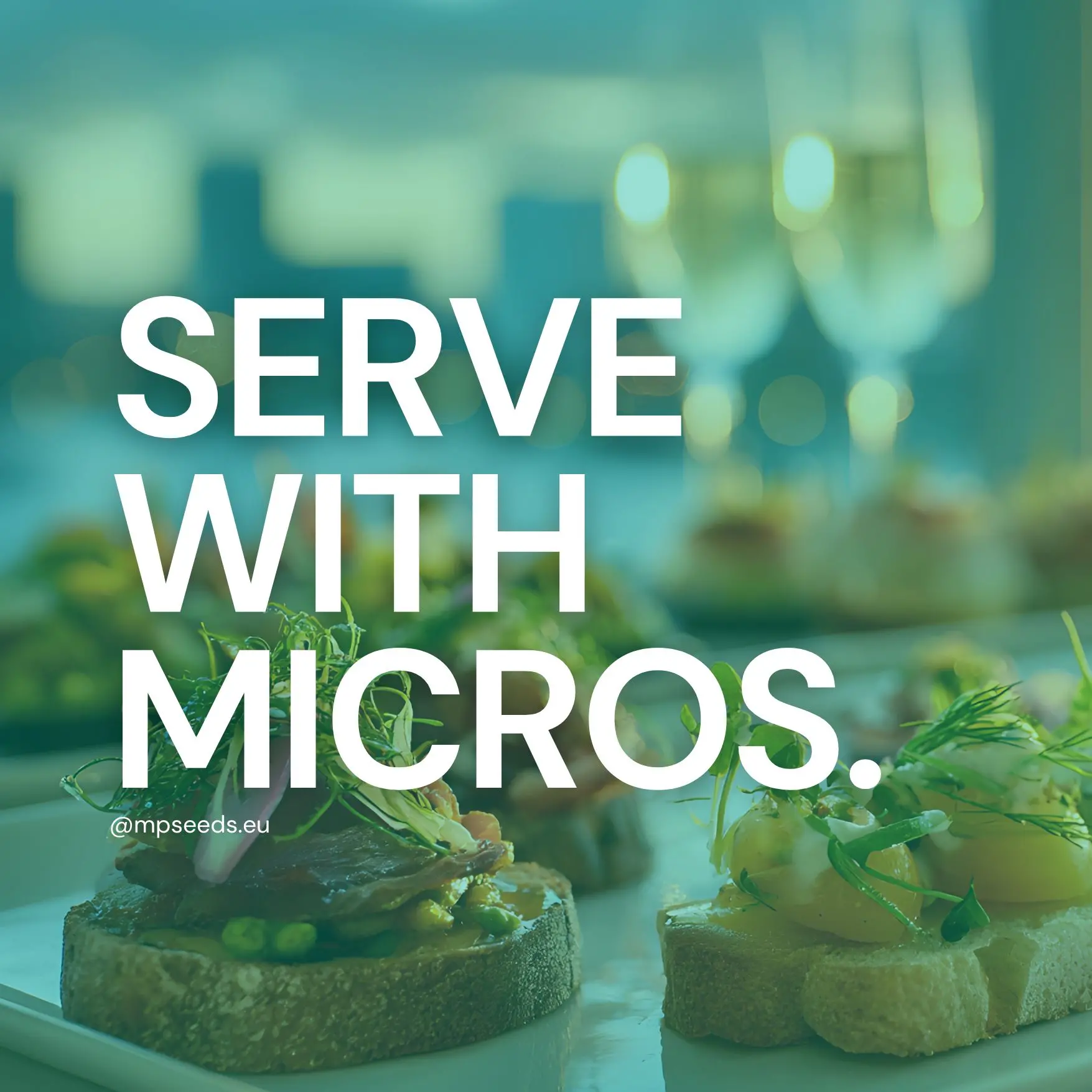 Microgreens im Event-Catering – wie erstellt man ein Menü, das verkauft?