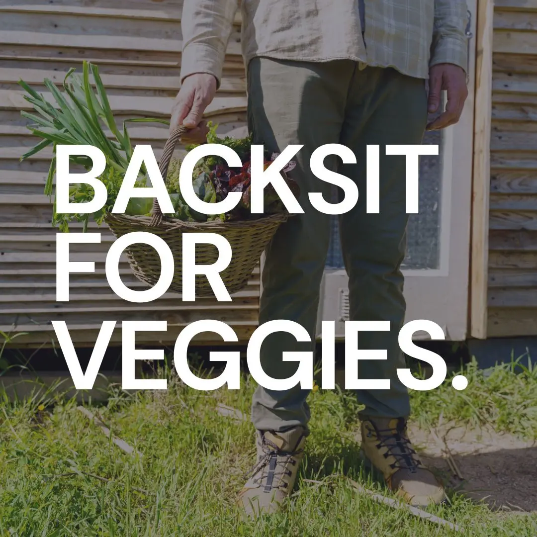 Sind Microgreens besser für Sie als Salat? Vergleich der Nährwerteigenschaften von Samen, Sprossen und Microgreens und deren Auswirkungen.